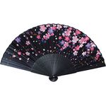 Coloring Japanese Folding Fan - Weeping Cherry