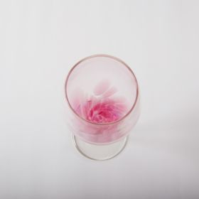 Cherry Blossoms Wine Glass - Set of 5