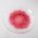 Cherry Blossoms Large Plate - Set of 2